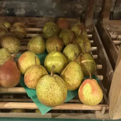 poire duchesse d'angouleme