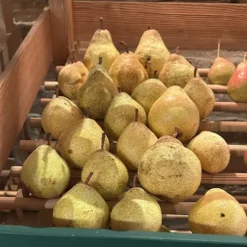 poire soldat laboureur